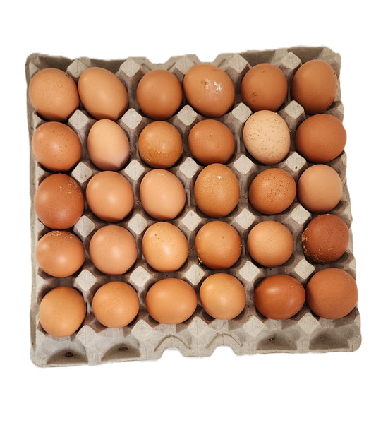 Eggs Crate 30s